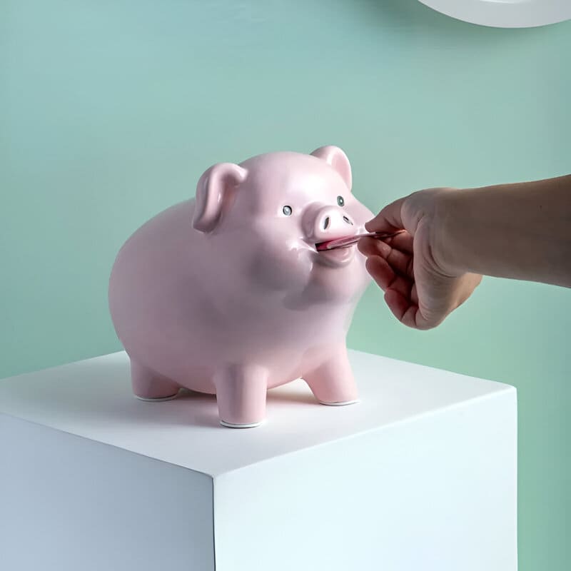 GROSSE TIRELIRE COCHON