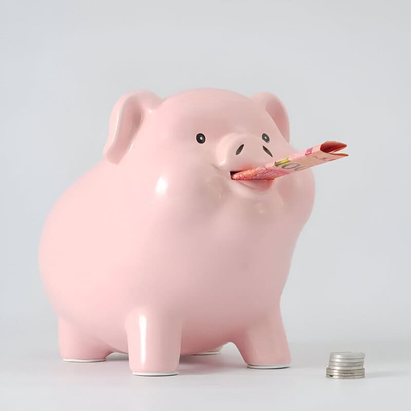 GROSSE TIRELIRE COCHON